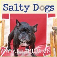  Salty Dogs