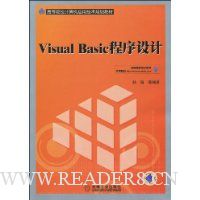  Visual Basic