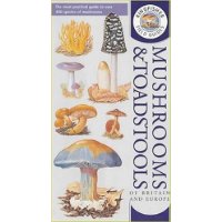  Kingfisher Field Guide to the Mushrooms and Toadstools of Britain and Europe