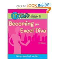  The IT Girl's Guide to Becoming an Excel Diva