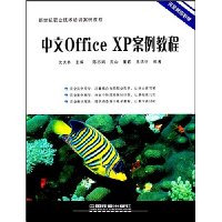  Office XP̳