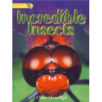  Incredible Insects