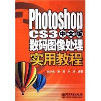  Photoshop CS3İͼʵý̳