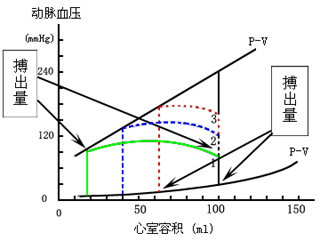 쳤ڣheterometric regulation