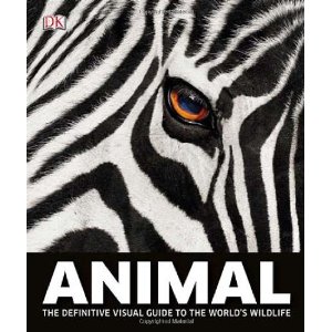 Animal [װ]