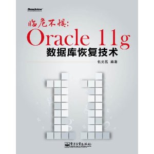 Σ:Oracle 11gݿָ [ƽװ]