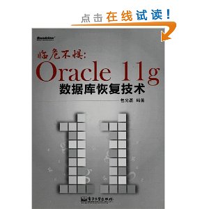 Σ:Oracle 11gݿָ