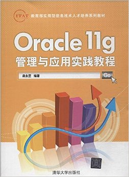 IT&ATʵϢ˲ϵн̲ġOracle 11gӦʵ̳