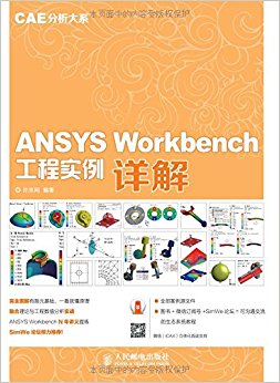 ANSYS Workbenchʵ