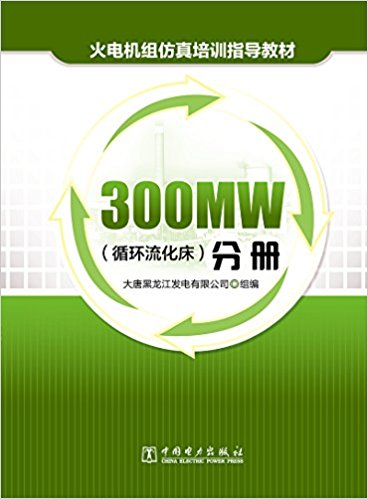 ѵָ̲:300MW(ѭ)ֲ