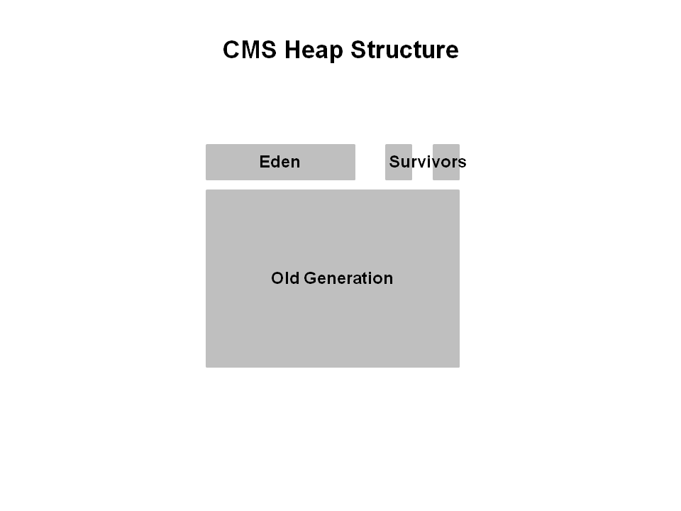 CMSG1