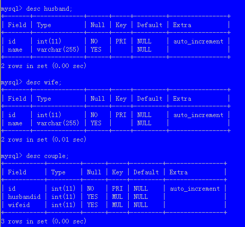 Hibernate ORM - Զ˫ʵϵ