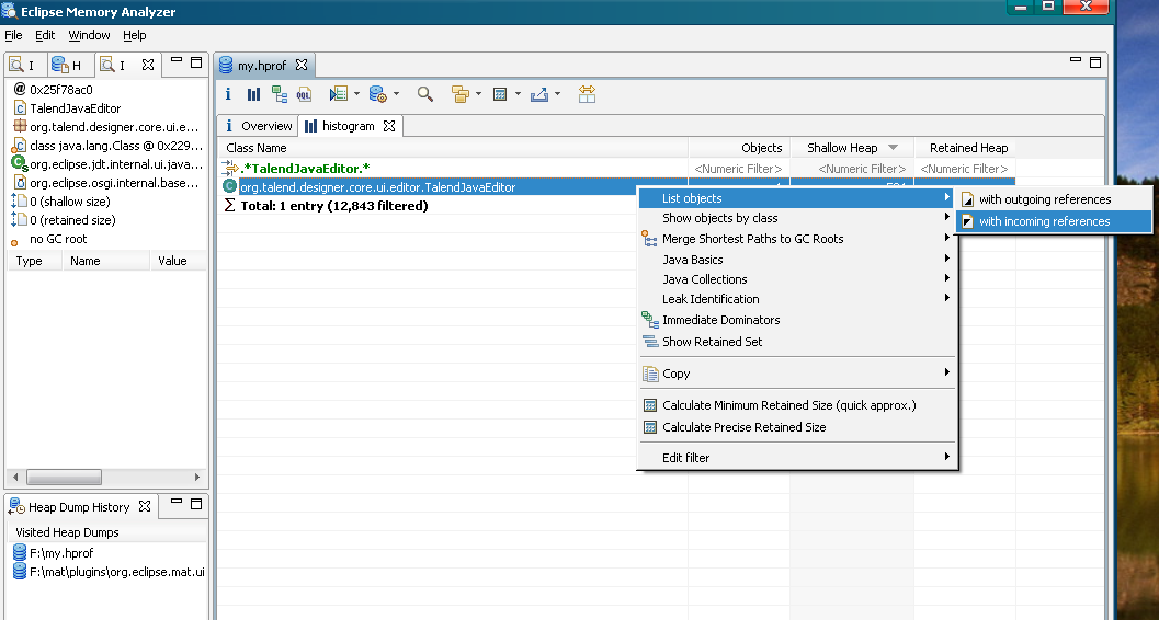 תʹ Eclipse Memory Analyzer ڴй©й