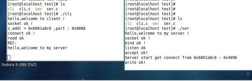 linuxCsocket̼