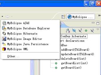 MyEclipse6Hibernateļ(hibernate.cfg.xml)ļ(MAP)ͼ