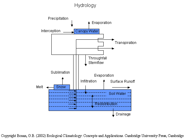 LSMCLMSIB[ת]