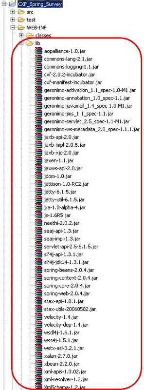 Apache CXF+SpringｨС