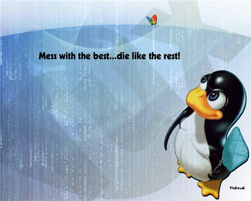 Linux άռ(3D)Чİװʵ