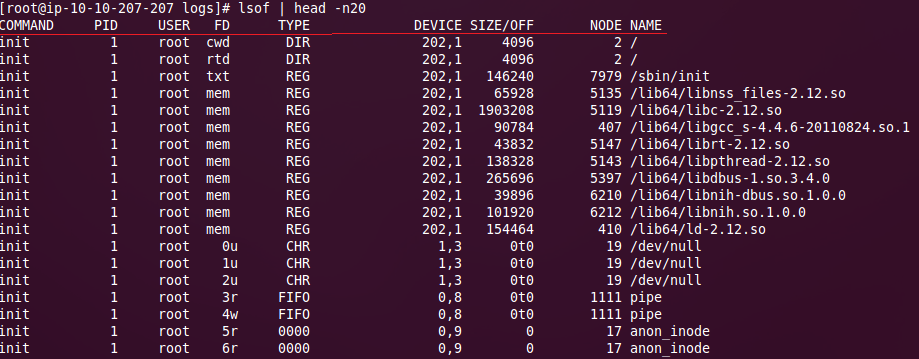 Linux lsof 