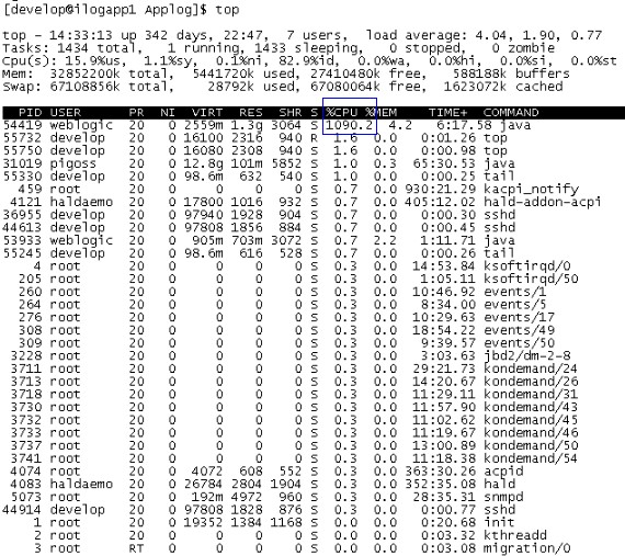 Linux top %CPU 100