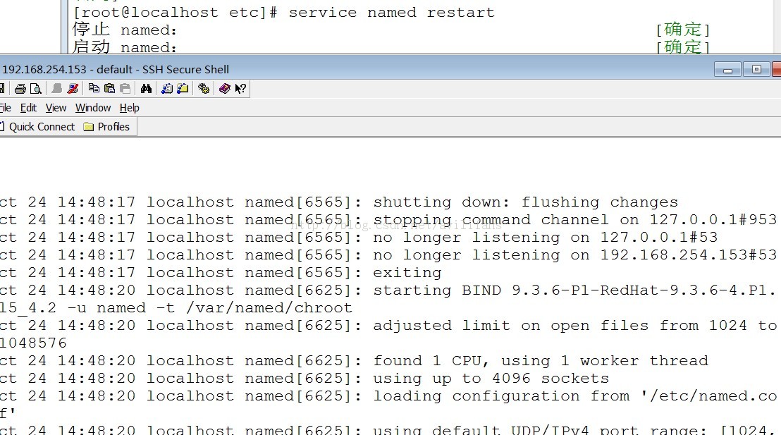 linuxͣDNS