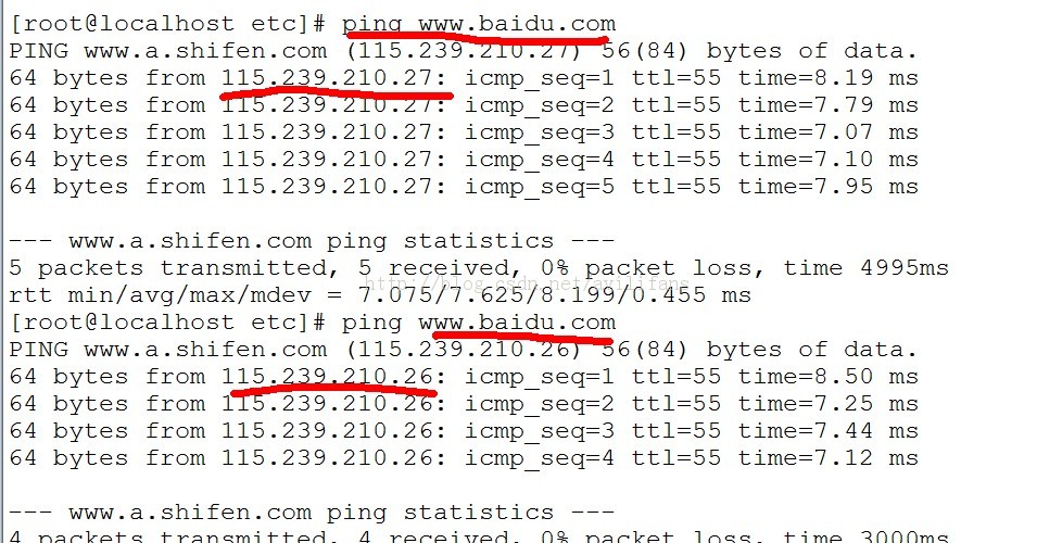 linuxͣDNS