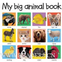  My Big Animal Book