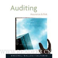  Auditing: Assurance and Risk