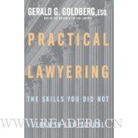  Practical Lawyering: The Skills You Did Not Learn in Law School