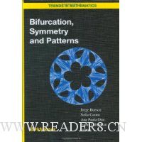  Bifurcation, Symmetry and Patterns