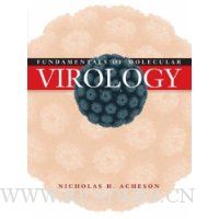  Fundamentals of Molecular Virology