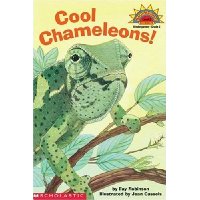  Cool Chameleons