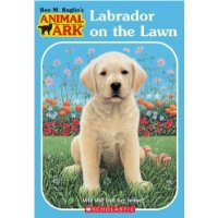  Labrador on the Lawn (Animal Ark Holiday Treasury #1) (Animal Ark Series #38)