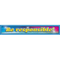  Character Education: Responsibility Banner