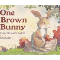  One Brown Bunny