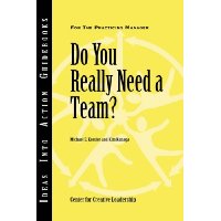  Do You Really Need a Team