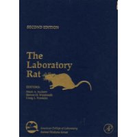  The Laboratory Rat