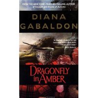  Dragonfly in Amber