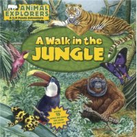  Animal Explorers: A Walk in the Jungle