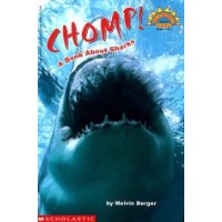  Chomp! A Book About Sharks (level 3) (Scholastic Reader)