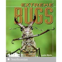  Extreme Bugs