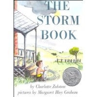  The Storm Book