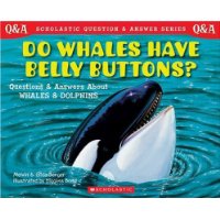  Scholastic Q & A: Do Whales Have Belly Buttons?