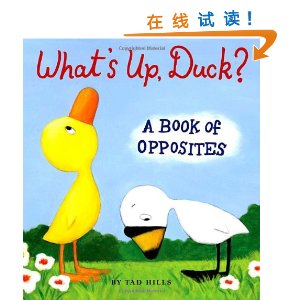 What's Up, Duck: A Book of Opposites(Tad Hills)[ľ]