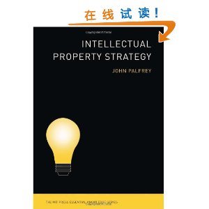 Intellectual Property Strategy [ƽװ]