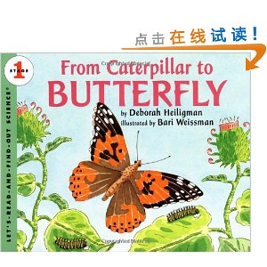 From Caterpillar to Butterfly