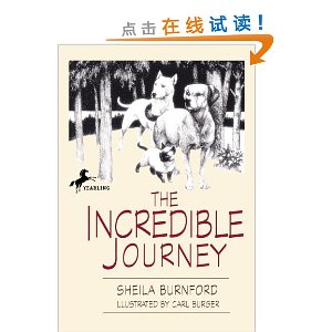 The Incredible Journey