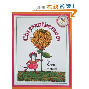 Chrysanthemum