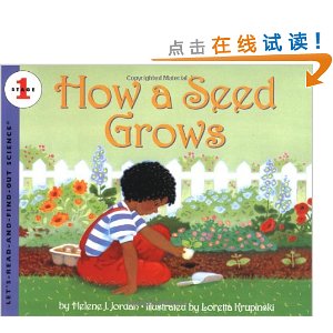 How a Seed Grows