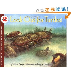 Look Out for Turtles!